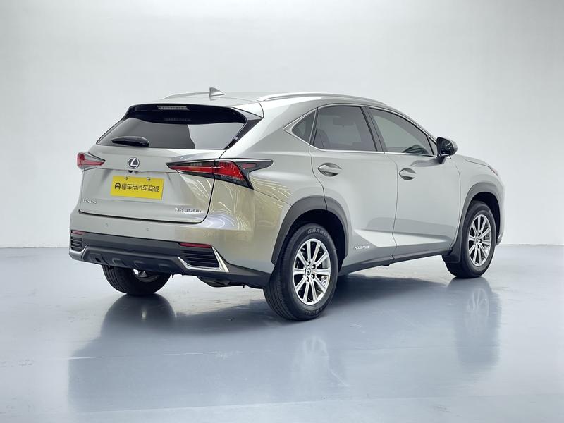 Lexus Lexus NX 2020