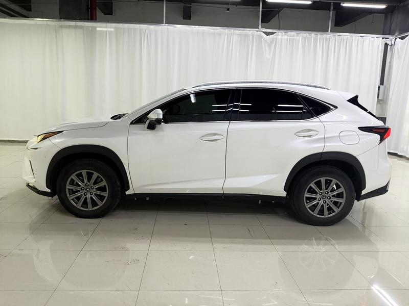Lexus Lexus NX 2020