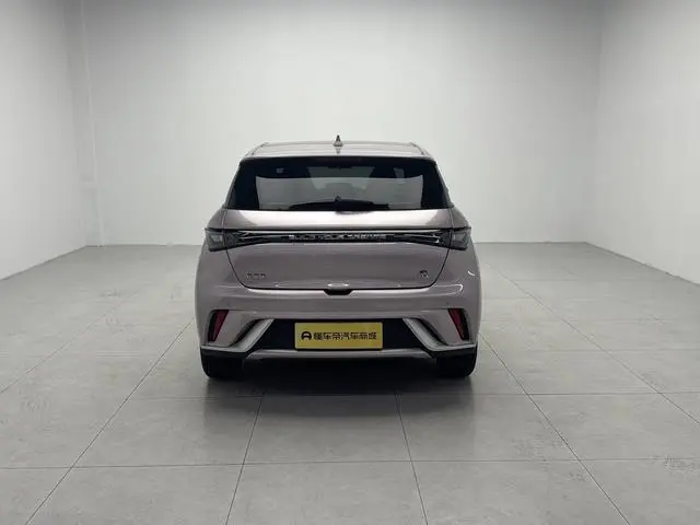 BYD dolphin Fashion edition