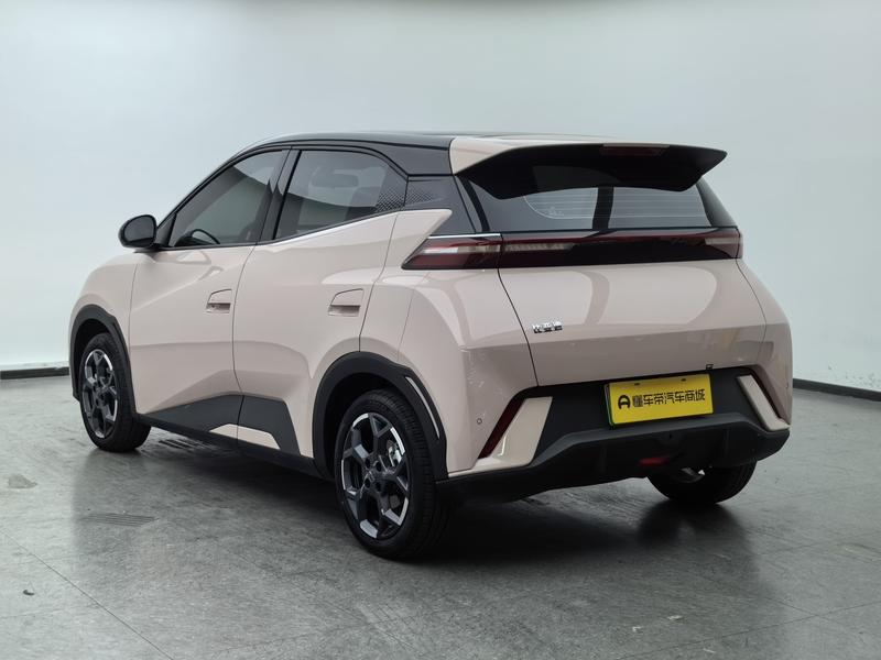 BYD seagull 2025