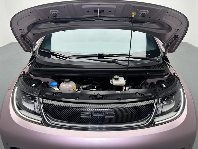 BYD dolphin 2023