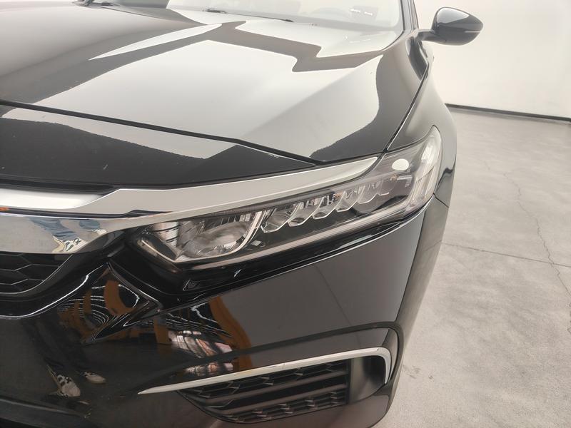 Honda Yingshi Pai 2019