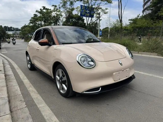 Ora Euler good cat 400km standard battery life Athena version ternary lithium battery