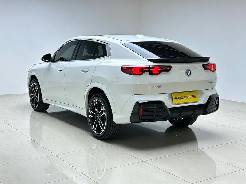 BMW BMW X2 (imported) 2024