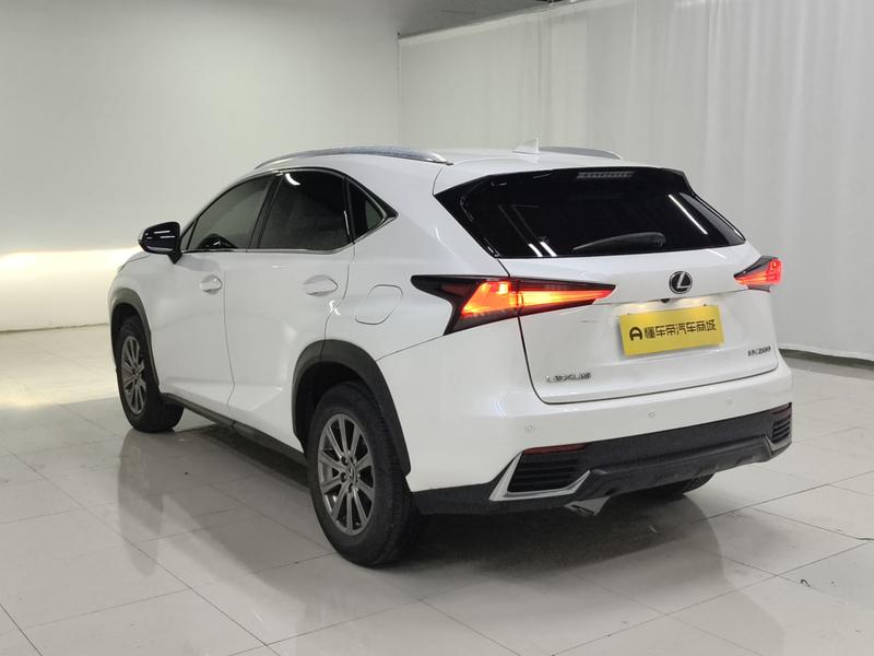 Lexus Lexus NX 2020