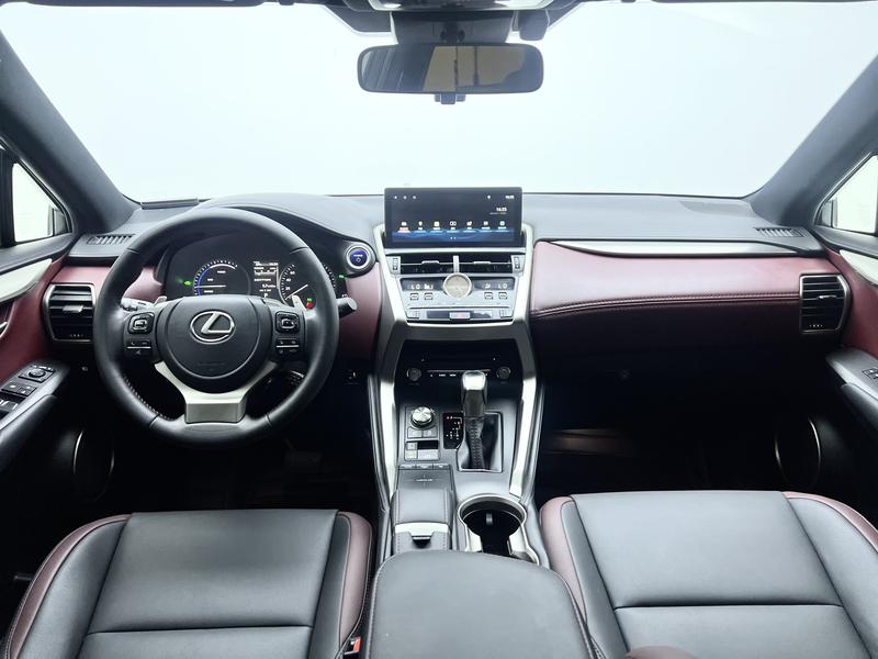 Lexus Lexus NX 2020