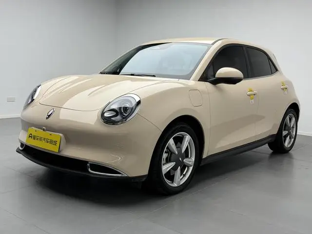 Ora Euler good cat 401km standard battery life luxury lithium iron phosphate