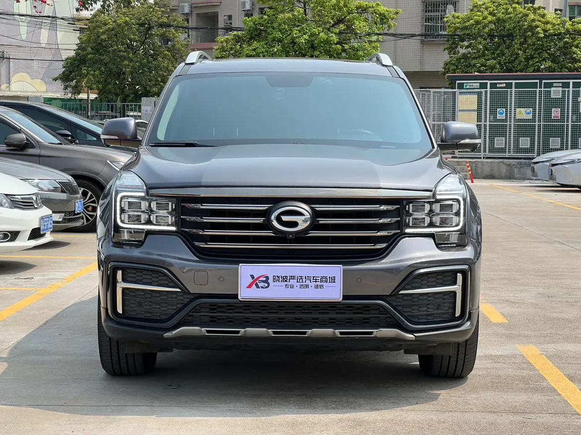 GAC Trumpchi GS8 390T two-wheel drive Luxury Zhilian Commemorative Edition