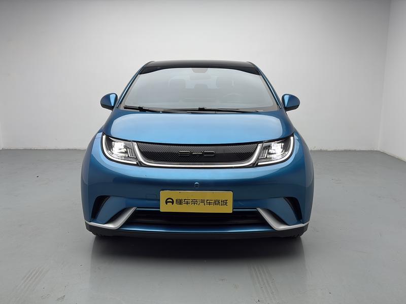 BYD dolphin 2021