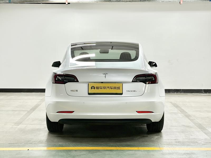 Tesla Model 3 2019