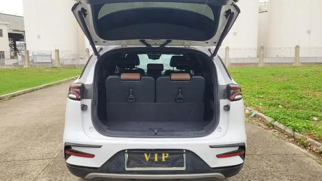 BYD Tang DM DM-i 1.5T 112KM premium type