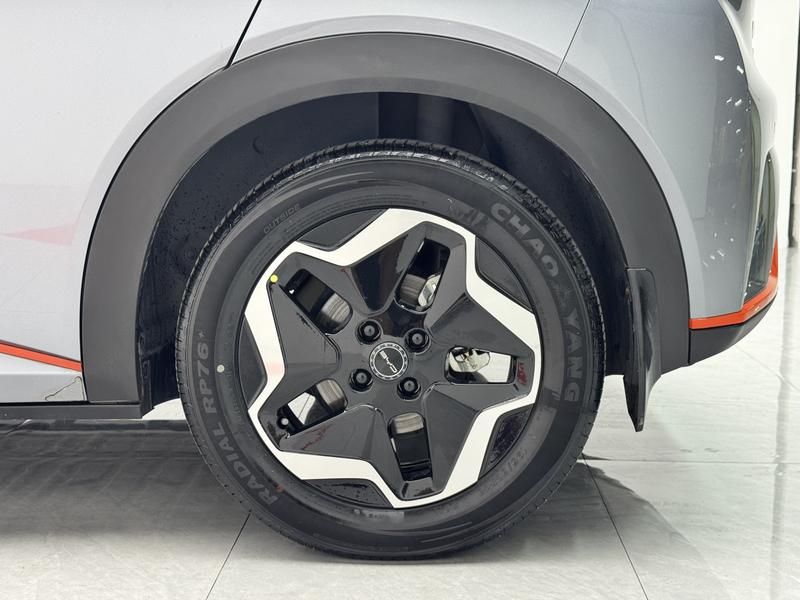 BYD dolphin 2021