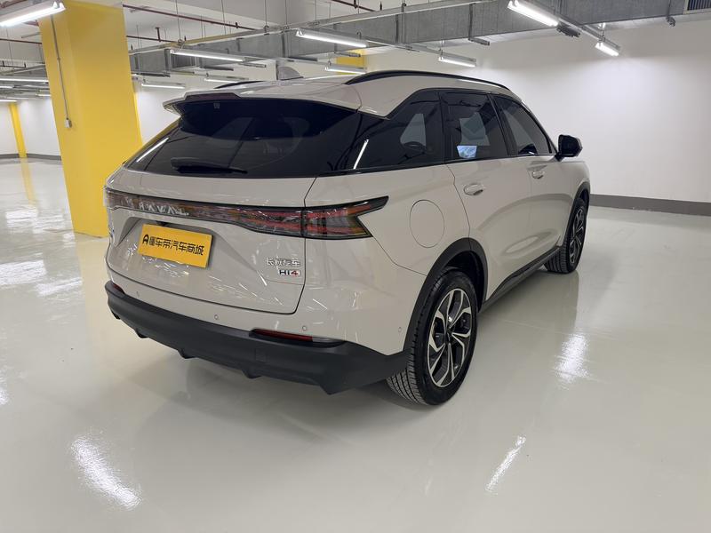 Haval Haval Xiaolong MAX 2025