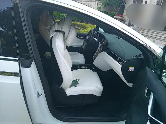 Tesla Model X 100D long battery life version
