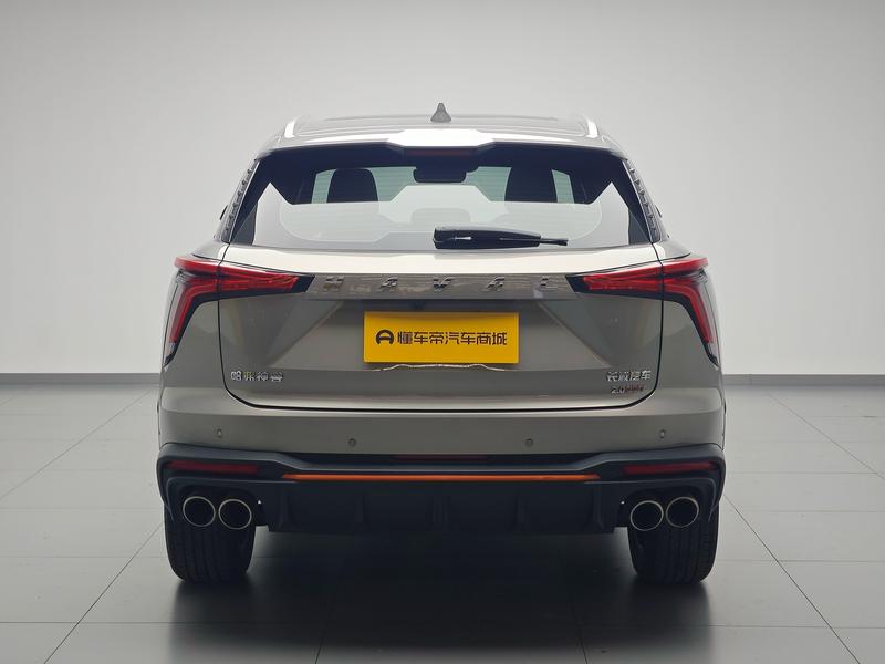 Haval Haval Divine Beast 2021