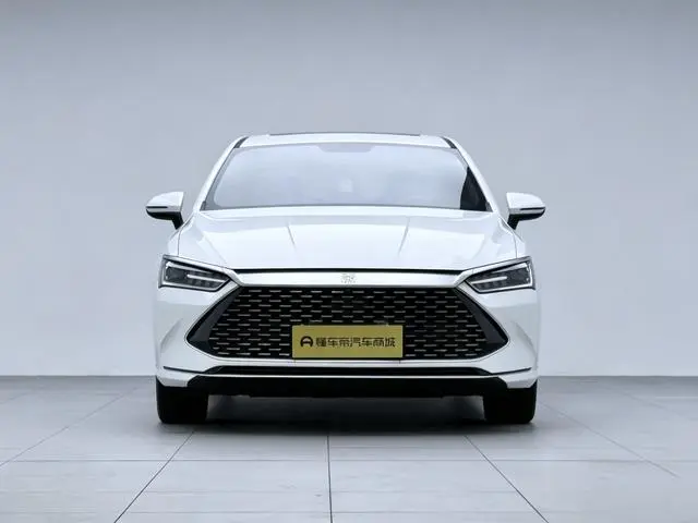 BYD Qin PLUS DM DM-i Champion Edition 120KM Leading Type