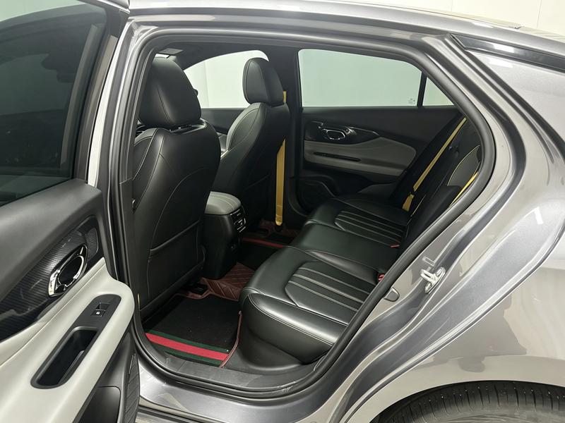 Trumpchi Shadow Leopard 2023