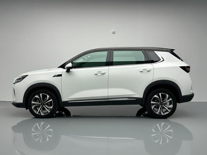 Wuling Wuling Xingchen 2022