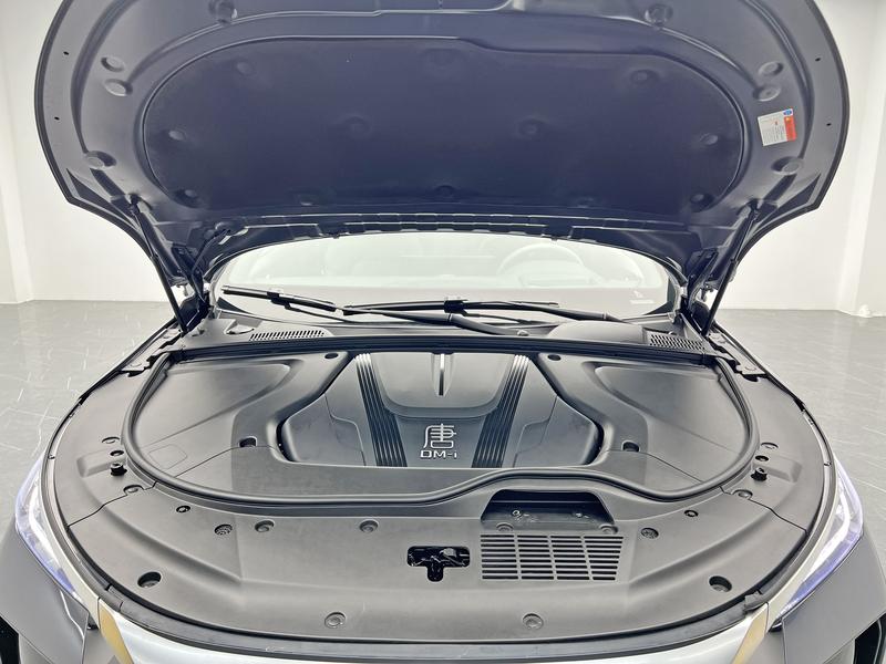 BYD Tang DM 2025