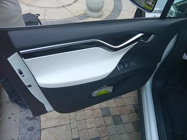 Tesla Model X 100D long battery life version