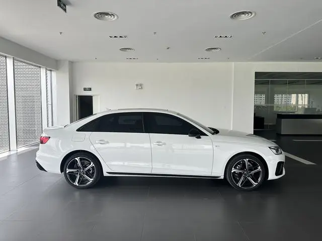 Audi Audi A4L 40 TFSI luxury Dynamic Type