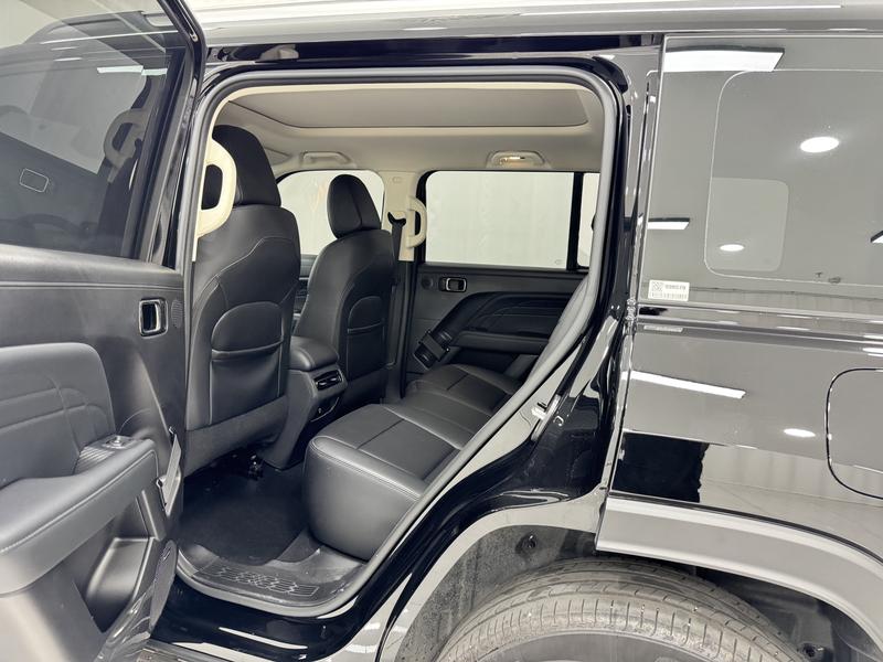 Haval Haval Raptors PHEV 2024