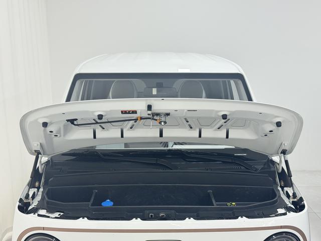 Geely Galaxy panda 2024