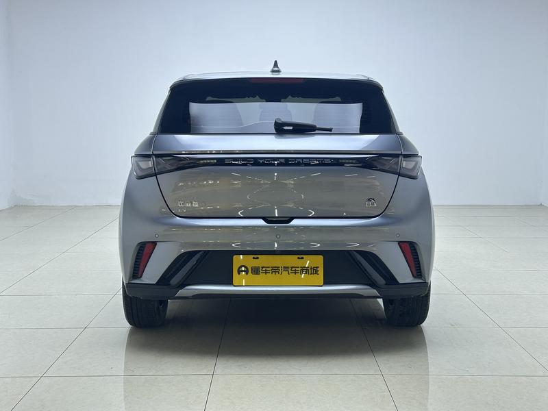 BYD dolphin 2023