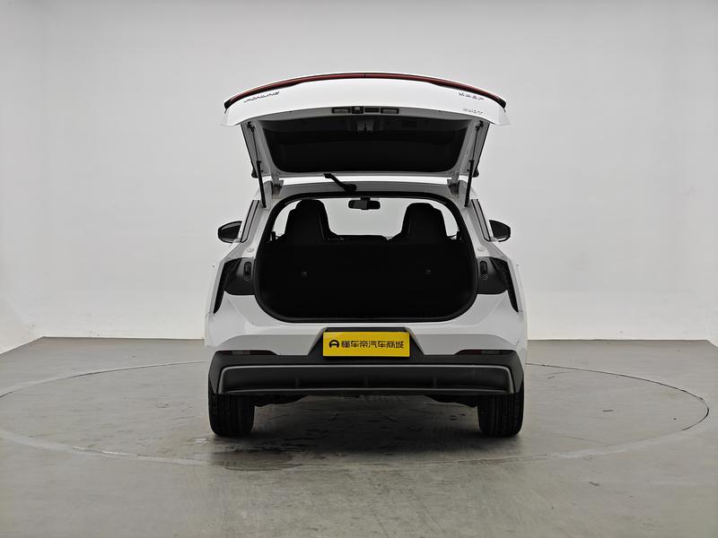 Venucia Qichen Big V 2023
