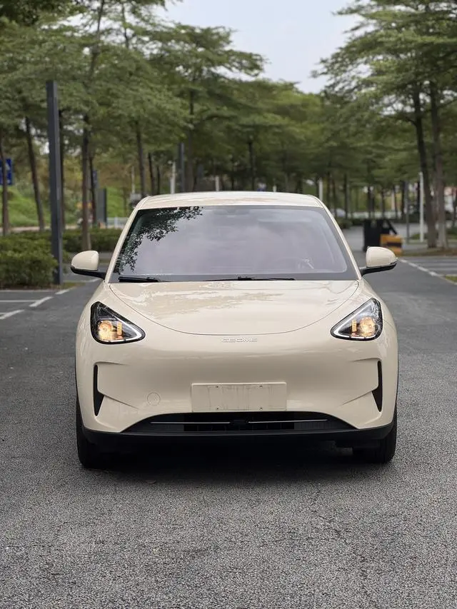 Geely Galaxy Star Wish 310km Youth Edition