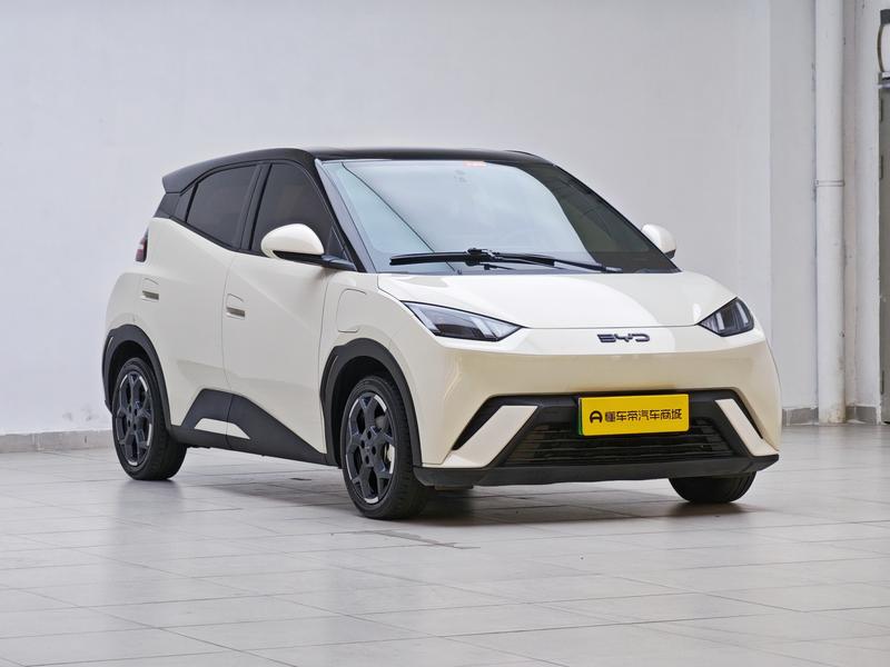BYD seagull 2025