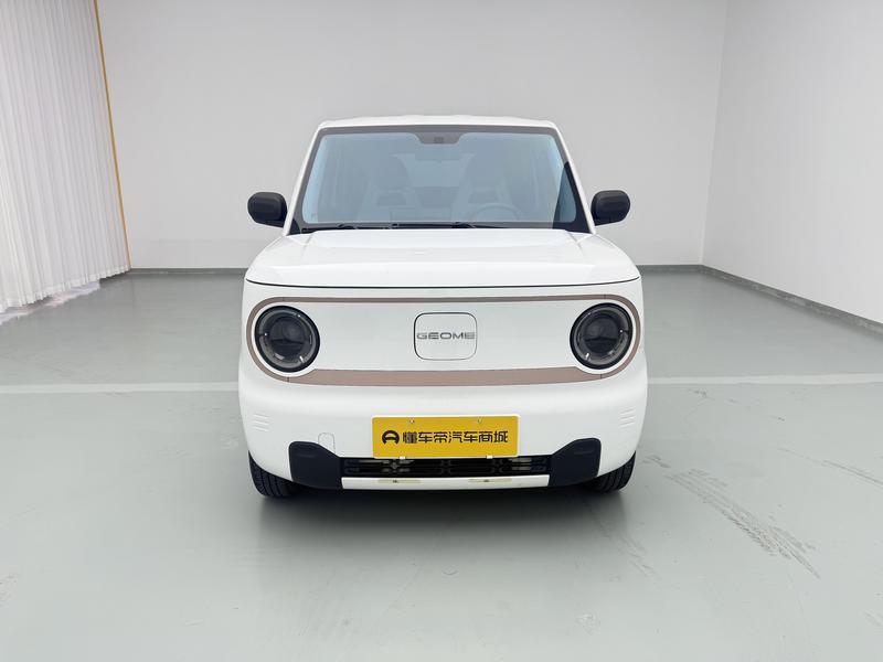 Geely Galaxy panda 2024
