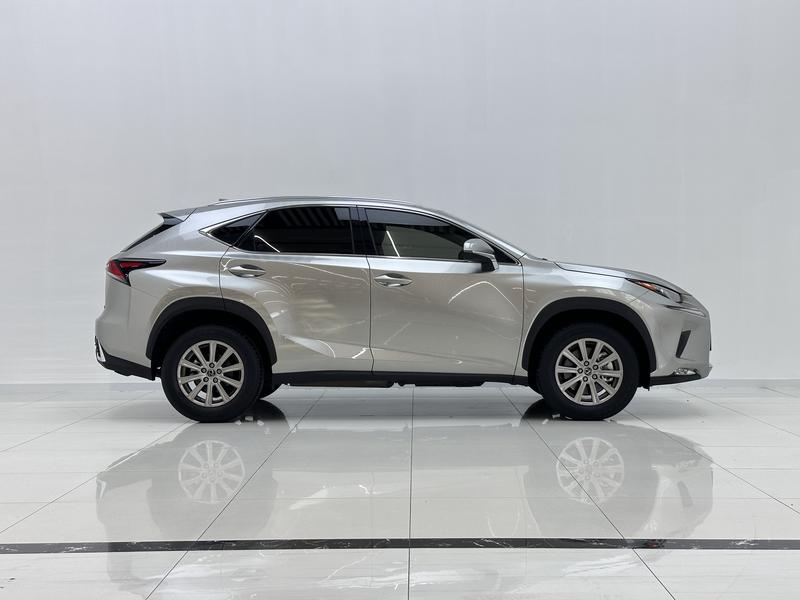 Lexus Lexus NX 2020