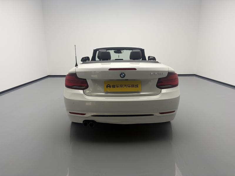 BMW BMW 2 Series (imported) 2019