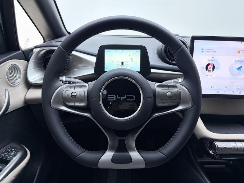 BYD dolphin 2024