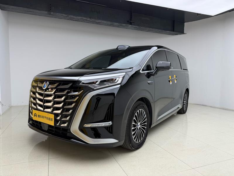 Denza Tengshi D9 DM 2025