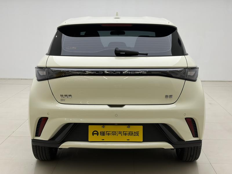 BYD dolphin 2024