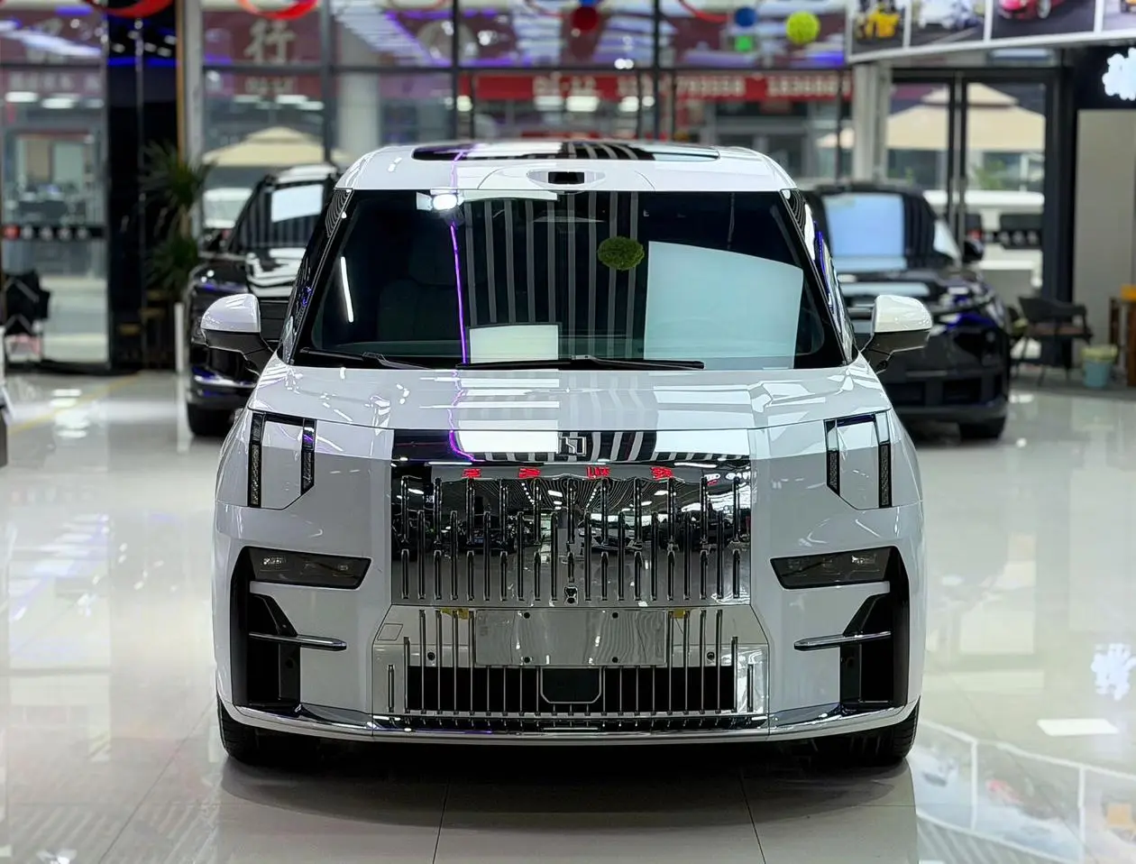ZEEKR ZEEKR 009 Seven-seater aisle version two-wheel drive 108kWh