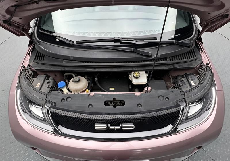 BYD dolphin 2023