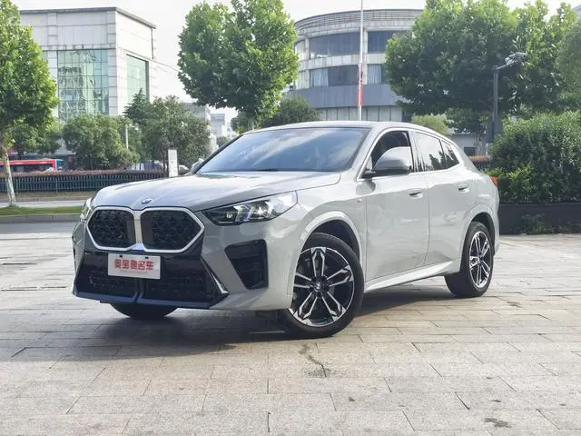 BMW BMW X2 (imported) sDrive25i M sports suit