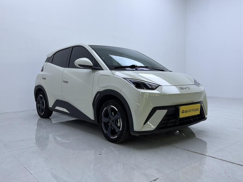 BYD seagull 2024