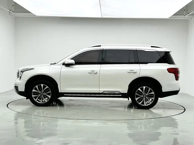 GAC Trumpchi GS8 320T two-wheel drive luxury Zhilian Edition 7 seats
