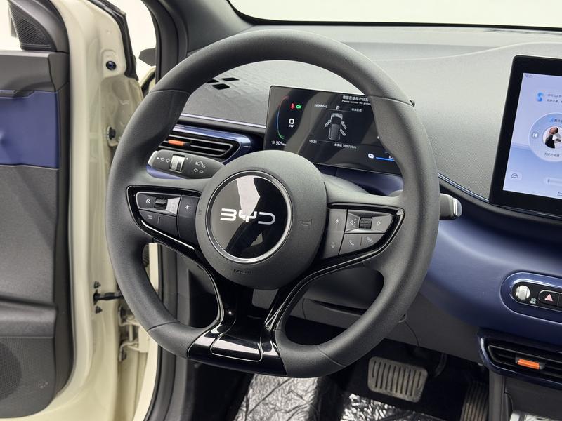 BYD seagull 2025