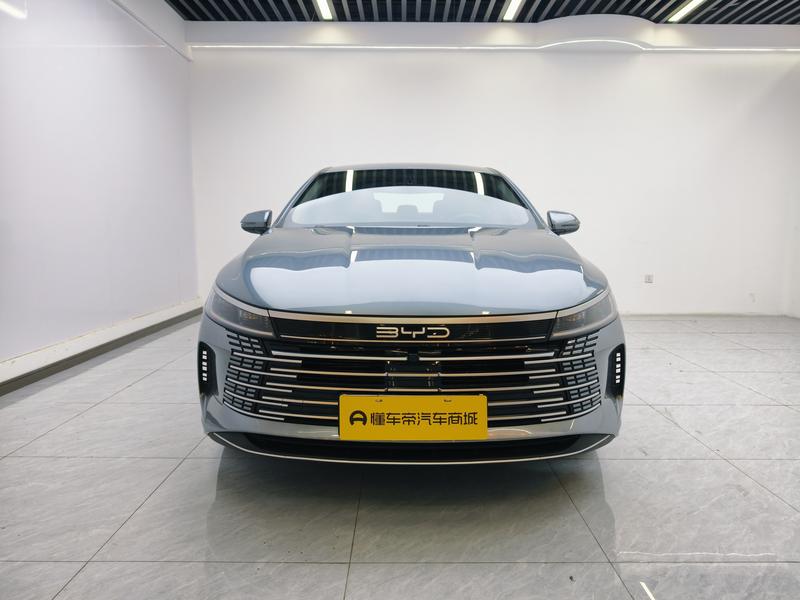 BYD Destroyer 05 2024