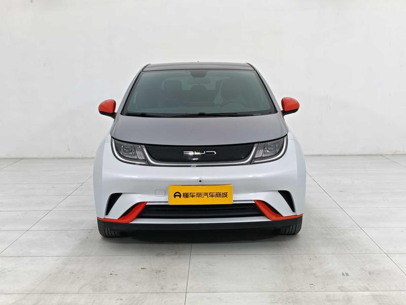 BYD dolphin 2021