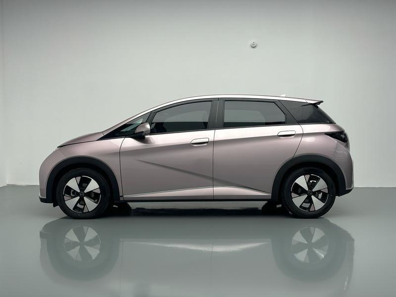 BYD dolphin 2023