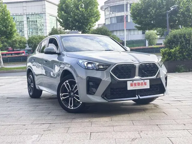 BMW BMW X2 (imported) sDrive25i M sports suit