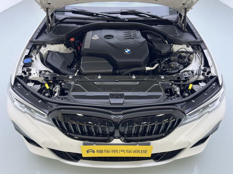 BMW BMW 3 Series 2021