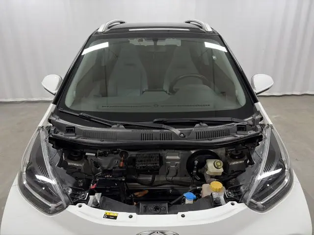 Chery Fulwin Little ant Sweet powder full sugar version ternary lithium 30.6 kWh 30kW 301km