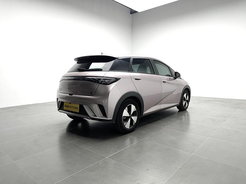 BYD dolphin 2023